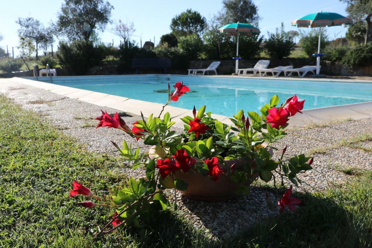 Agriturismo Tinti Montiano (Tuscany) Exterior foto