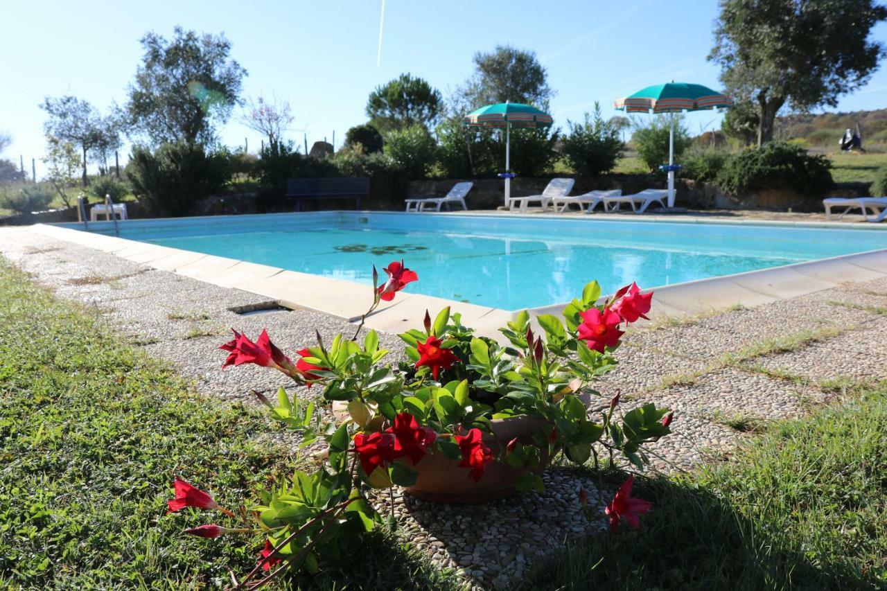 Agriturismo Tinti Montiano (Tuscany) Exterior foto